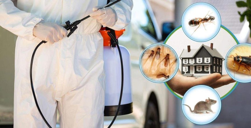 Toroslar Böcek İlaçlama