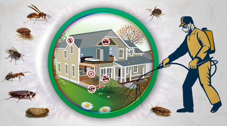 Toroslar Böcek İlaçlama