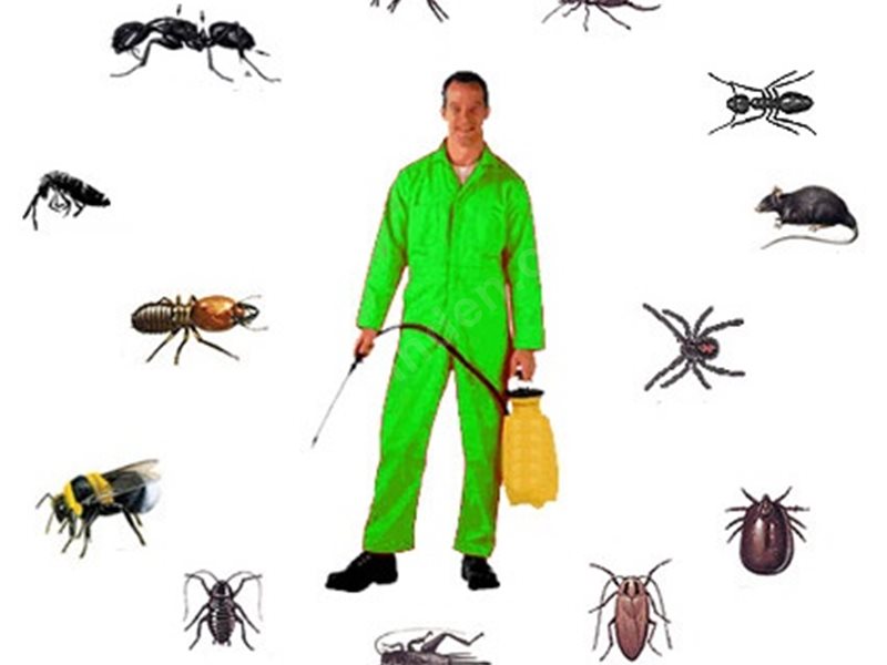 Toroslar Böcek İlaçlama